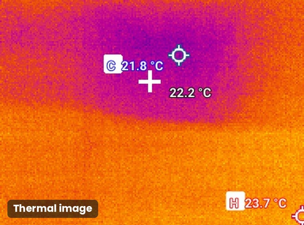 Thermal image of a ceiling showing a cooler area. Investigation above the ceiling found a roof leak and mould growth.
